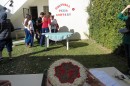 Foto 822