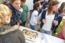 Foto 841