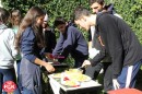 Foto 3097