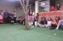Foto 721