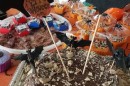 Foto 2847