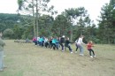 Foto 987