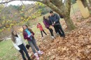 Foto 962