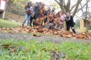 Foto 970