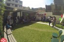 Foto 2461