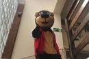 Foto 3139