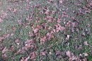 Foto 2134