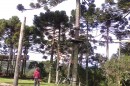 Foto 2102