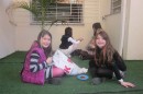 Foto 2295