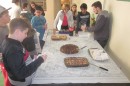 Foto 2264
