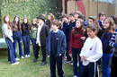 Foto 336