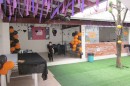 Foto 1188