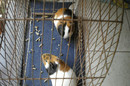 Foto 377