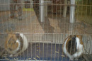 Foto 382